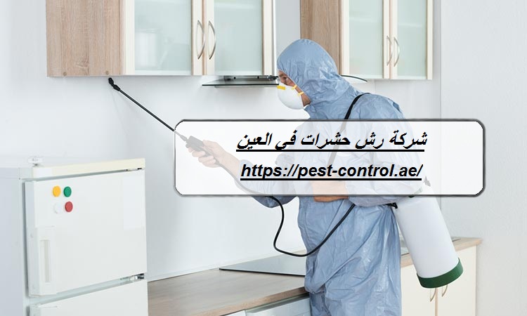 شركة رش حشرات في العين