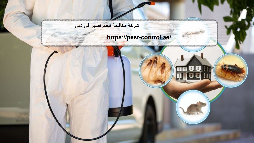 شركة مكافحة الصراصير في دبي