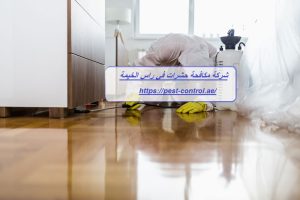 شركة مكافحة حشرات في راس الخيمة